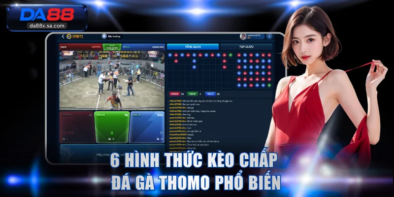 6 hình thức kèo chấp đá gà Thomo phổ biến