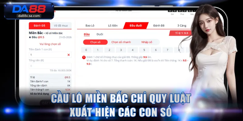 Cầu lô miền Bắc chỉ quy luật xuất hiện các con số