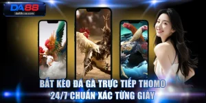 Đá Gà Trực Tiếp Thomo 24/7
