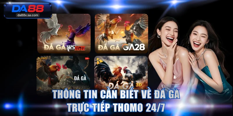 Thông tin cần biết về đá gà trực tiếp thomo 24/7