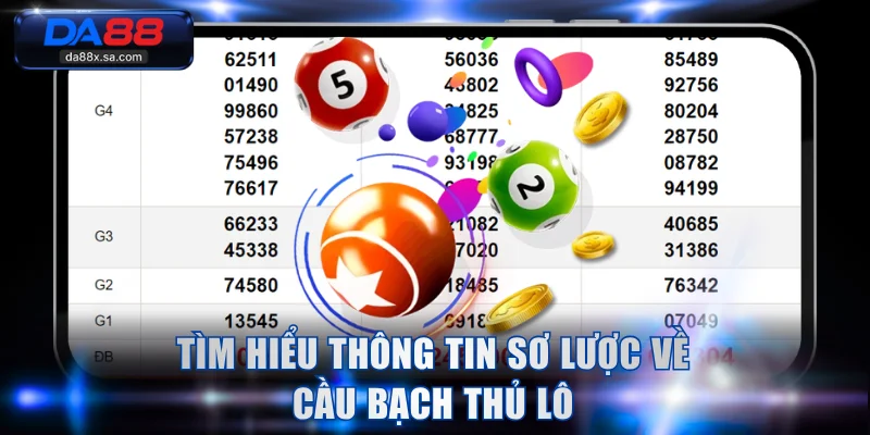 Tìm hiểu thông tin sơ lược về cầu bạch thủ lô